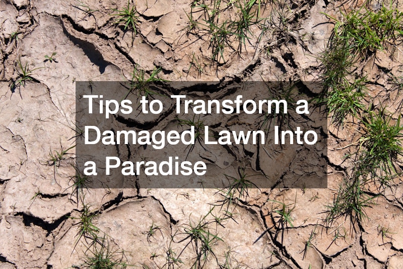 Tips to Transform a Damaged Lawn Into a Paradise